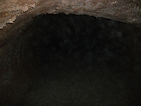 otta Cassone-22042012 199